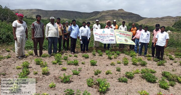 कृषी विभागाकडून शास्त्रज्ञ , शिवारफेरी, प्रक्षेत्र भेट व क्षेत्रदिन कार्यक्रम साजरा