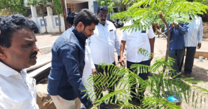 प्रथमेश कोठे यांच्या हस्ते मंत्री चंडक येथे वृक्षारोपण