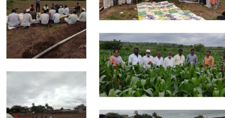 कोंडबावी येथे मधुमका मुल्य साखळी विकास शेतीशाळा संपन्न